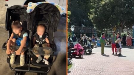 Disappointed Mother Has Stroller Stolen at Disneyland, California 'My biggest Disney fear'