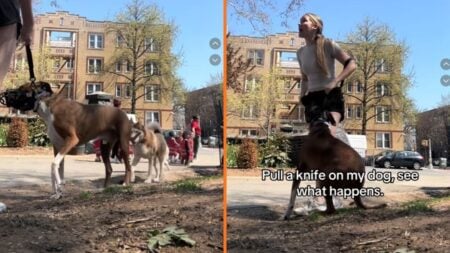 New York Dog Park Leash Dispute Escalates After Dog Owner Allegedly Brandishes Knife 'Absolutely not okay'