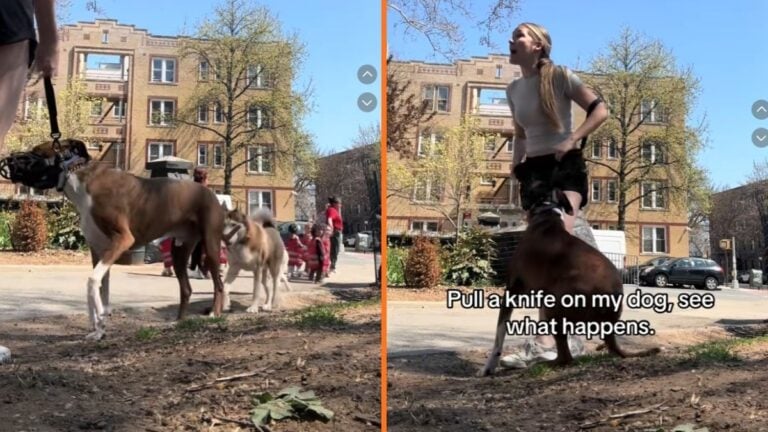 New York Dog Park Leash Dispute Escalates After Dog Owner Allegedly Brandishes Knife 'Absolutely not okay'
