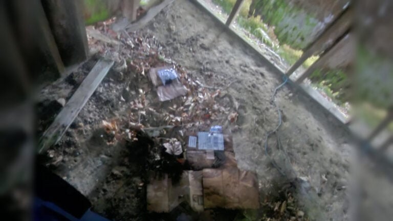 New Jersey USPS Package in Shed