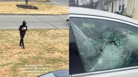 A picture taken by the Massachusetts woman.