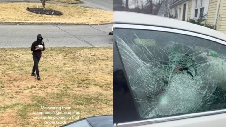 A picture taken by the Massachusetts woman.