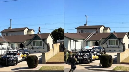 A picture of the California man.