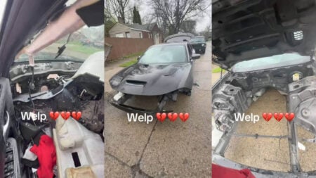 Michigan Woman Car Stripped Bare Shell