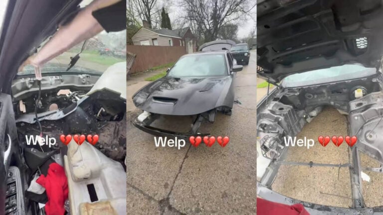 Michigan Woman Car Stripped Bare Shell