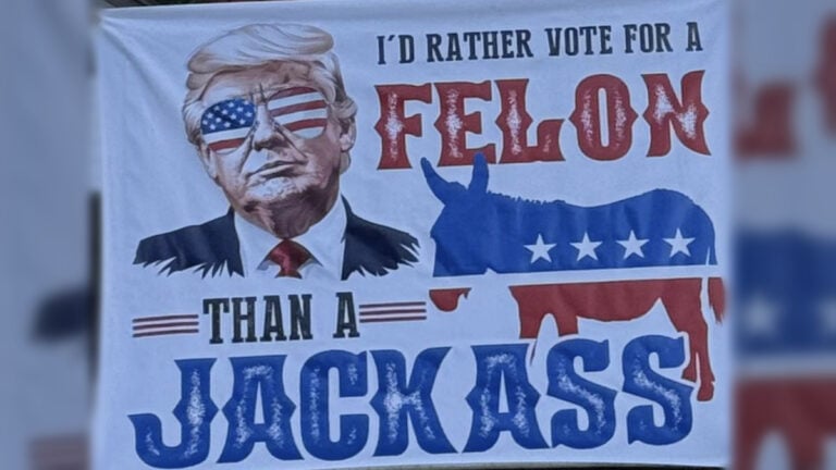 Vote for Felon Trump Banner