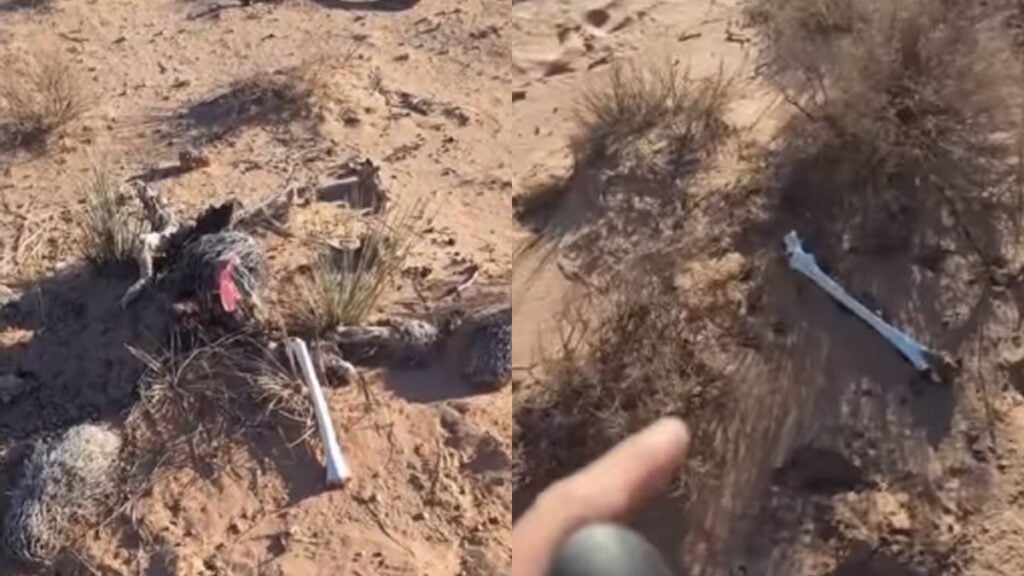 Instagram User Allegedly Finds Bones of Women in New Mexico Desert, Authorities Decline Action?: ‘Absolutely Horrific’