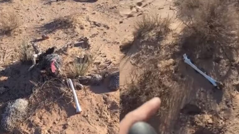 Instagram User Allegedly Finds Bones of Women in New Mexico Desert, Authorities Decline Action?: ‘Absolutely Horrific’