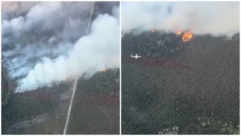 Florida fires, Gainesville