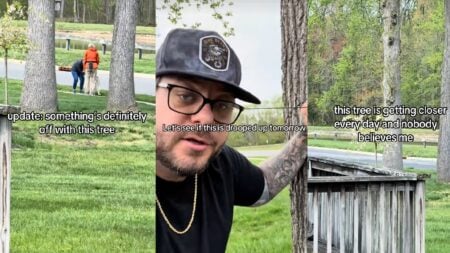 New Jersey Man Convinced He's Part Of A Fake Tree Conspiracy