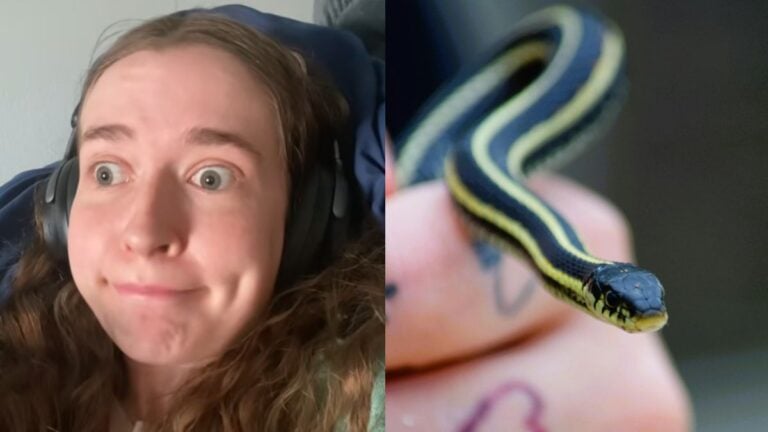 Utah Woman Says Her Garter Snake Collecting Drove Neighbors To Move