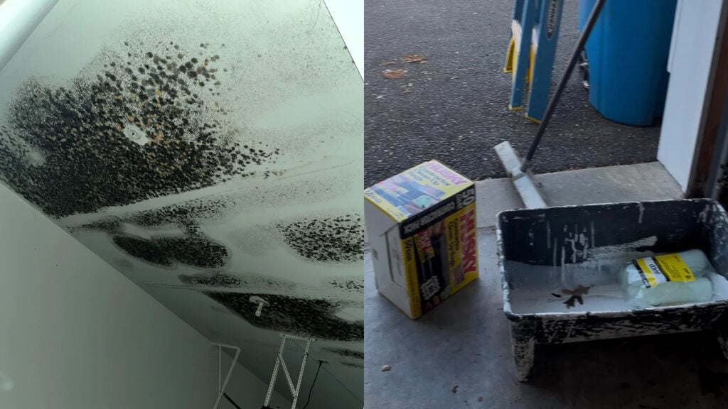 New Jersey Tenant Told to Leave as Landlord Ignores Serious Mold Health Risks: 'That Is a Health Hazard'