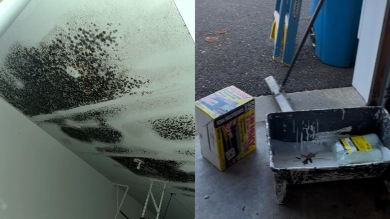 New Jersey Tenant Told to Leave as Landlord Ignores Serious Mold Health Risks: 'That Is a Health Hazard'