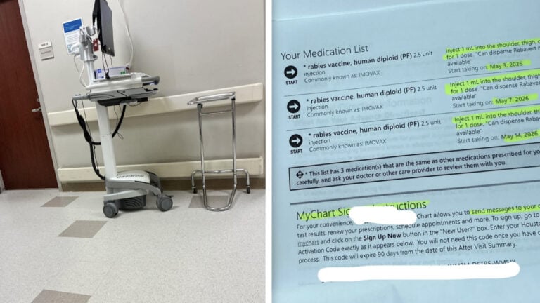 Hospital Rabies Vaccine Paperwork