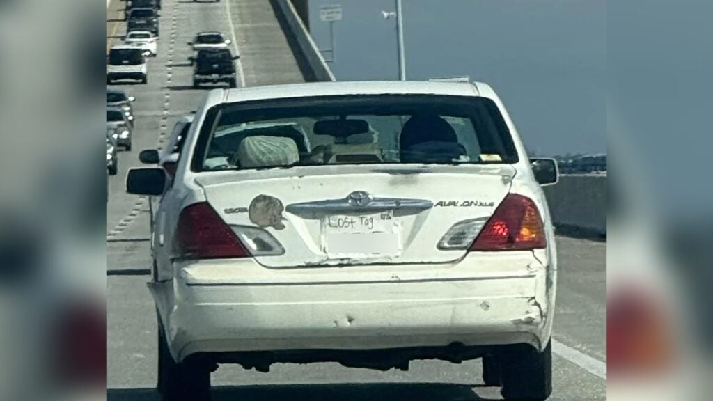 Florida License Plate Drawing