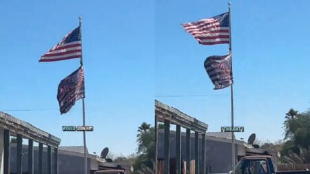 California Woman Counters Neighbor's Trump Flag With an Inflammatory Sign of Her Own 'That sign is pure perfection'