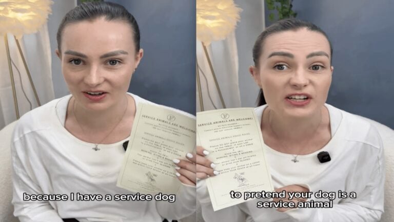 Blind California Author Calls Out Fake Service Dogs After Restaurant Incident