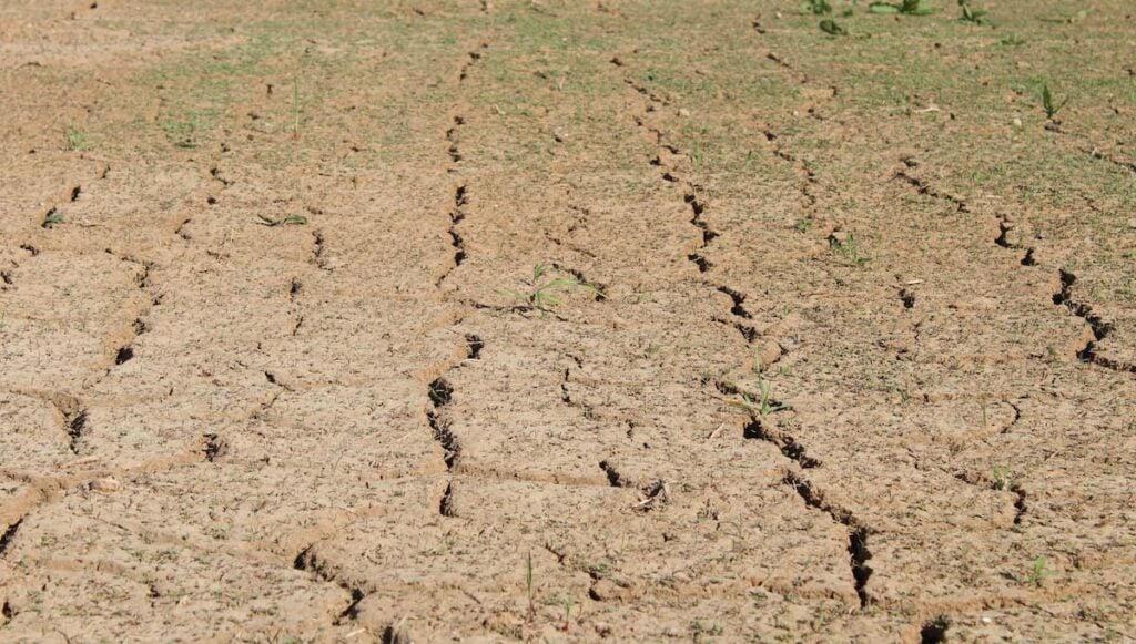 Georgia Residents Furious After Data Center Quietly Drained 30 Million Gallons of Water: ‘It’s Almost as if You Can’t Trust Companies’ drought in georgia