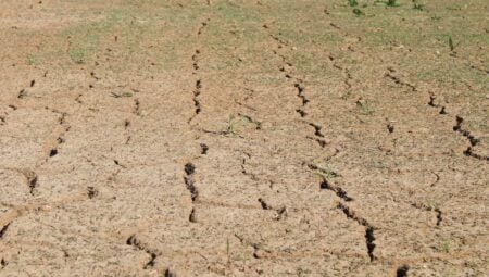 Georgia Residents Furious After Data Center Quietly Drained 30 Million Gallons of Water: ‘It’s Almost as if You Can’t Trust Companies’ drought in georgia