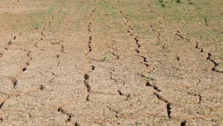 Georgia Residents Furious After Data Center Quietly Drained 30 Million Gallons of Water: ‘It’s Almost as if You Can’t Trust Companies’ drought in georgia