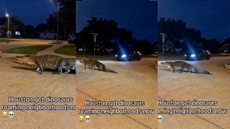 Alligator Sighting in Texas Suburbs Sparks Concern Among Residents: ‘This Is Just Crazy To Me’ Texas Residents Freaking Out Over Alligator Sighting
