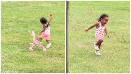 Texas Bird ‘Attack’ Clip Goes Viral, Leaving Viewers Shocked and Amused: ‘What Is the Bird’s Problem?’ Texas bird encounter