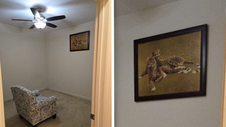 North Carolina Man’s Viral ‘Cheetah Room’ Goes Viral for Very Bizarre Reasons: ‘I Plan to Make Weird Rules Around This Room’ Reddit cheetah room