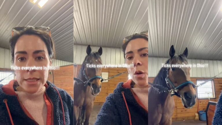 An Ohio woman expressing frustration on camera about an unprecedented number of ticks on her animals in spring 2026.