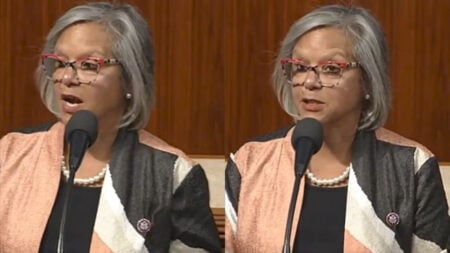 Illinois Rep Slammed GOP Voting Rights Claims