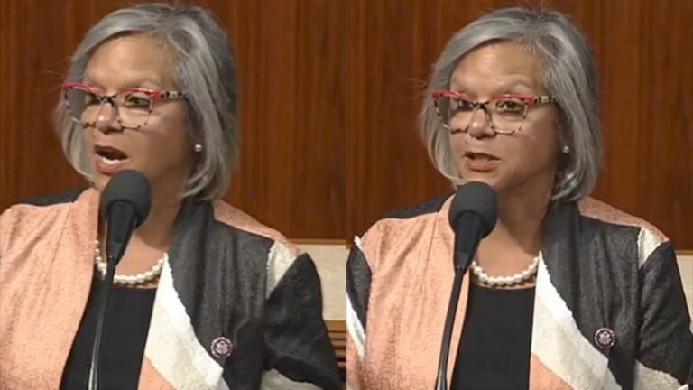 Illinois Rep Slammed GOP Voting Rights Claims