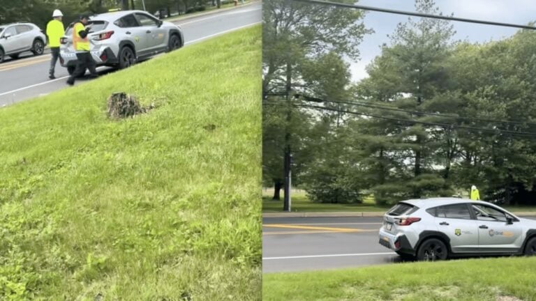Pennsylvania Woman Shocked When Workers Dig Up the Street She Lives on for New Jersey Data Center