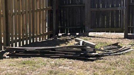 Wood scraps in yard
