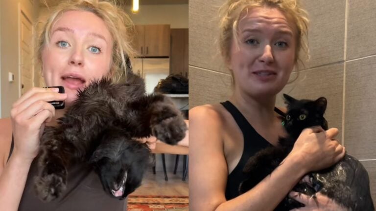 Texas Woman Shows Craigslist Cat Completely Unbothered by Shower Water: ‘Does He Know He Exists?’ Texas Woman Shows Craigslist Cat Completely Unbothered by Shower Water