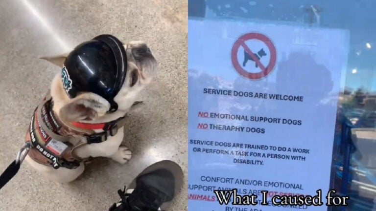 California Man Vindicated After Store Denies Him Entry For Having Service Dog 'Sir your little potato just made you a bag'