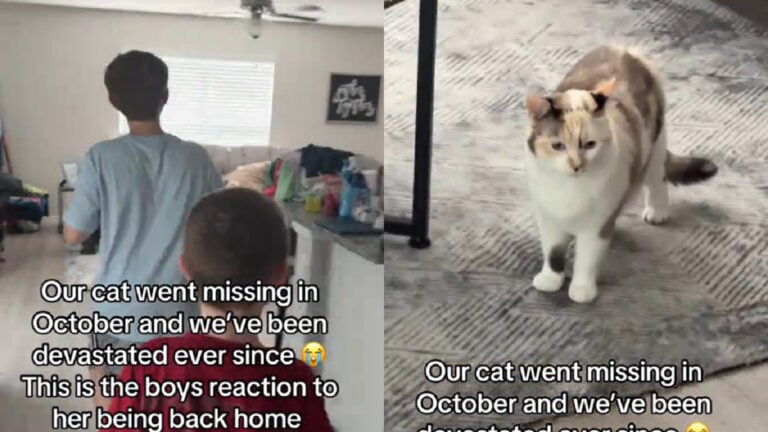 Florida Brothers Cry Tears of Joy Reuniting With Pet Cat Missing Since October 2025 'It's this serious btw'