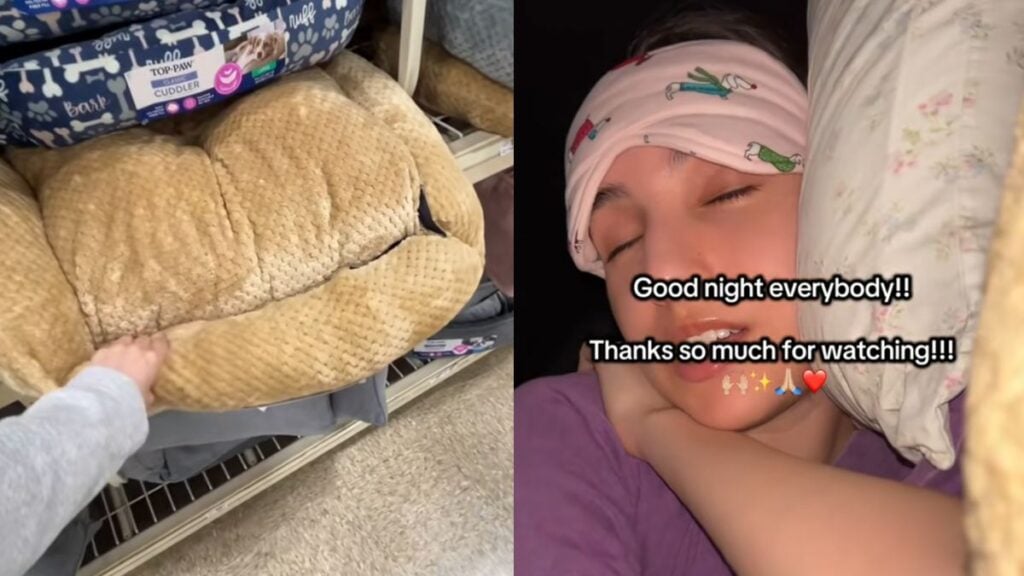 Homeless New York Woman Sleeps in Dog Bed While Living in Her Car: ‘I Hate Capitalism’ Homeless New York Woman Sleeps in Dog Bed While Living in Her Car