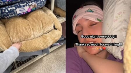 Homeless New York Woman Sleeps in Dog Bed While Living in Her Car