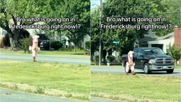 Virginia Community on Edge After Viral Footage of Alleged ‘Pink Panther’ Following Children: ‘I Hope They Find The Crazy Man!’