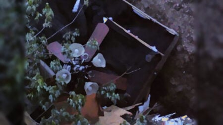 Iowa Woman Accuses Landlord of Stealing and Tossing Her Furniture Out Because ‘It Was Ugly’: ‘Yeah Call the Cops’ Outdoor furniture lying inside a pit in the woods