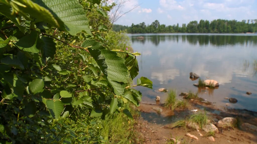 ‘They Sold Minnesota Out’: Boundary Waters Mining Fight Ignites Fury Across the State Boundary Waters Minnesota