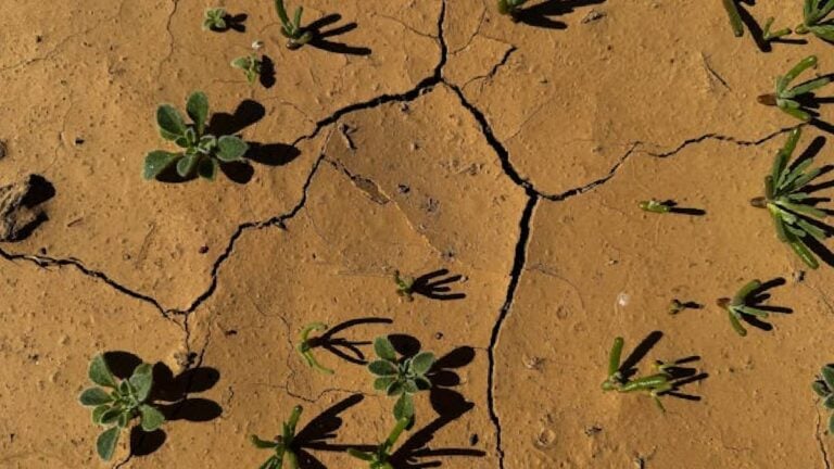 Massachusetts Residents Concerned After Critical Drought Declared in Northeast Region: ‘Biggest Offenders are Golf Courses’ Massachusetts critical drought