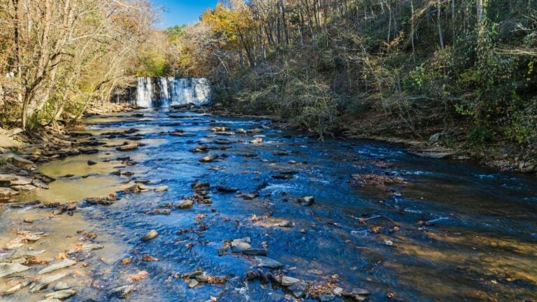 ‘Oh Hell No’: Atlanta Residents Express Concern as E. Coli Levels Spike in Chattahoochee River Georgia river