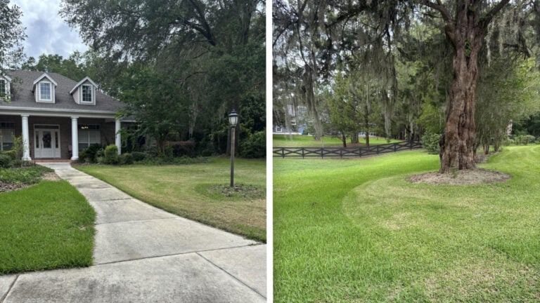 Florida Woman Dragged Online Over Her Harsh Criticism of Teenager’s $60 Lawnmower Job: ‘Even an Idiot Should Know That This Is Not Acceptable’ Florida Woman Home Lawn Mowed by Teenager