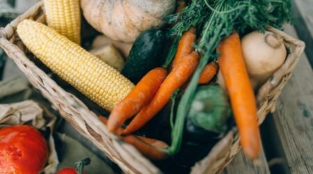 ‘Cruelty Is the Point’: Missouri Furious as SNAP Crackdown Sees State Cut Fresh Food Aid Missouri SNAP crackdown