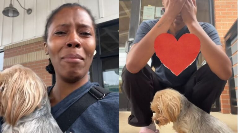 Devastated Georgia Woman Says Her Dog Can No Longer Walk After Pet Resort Visit