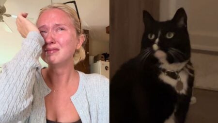 California Woman Says Pet Sitter Lost Her Cat, Then Found Her Remains