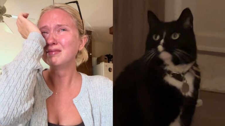 California Woman Says Pet Sitter Lost Her Cat, Then Found Her Remains: ‘Blair, I’m So Sorry’ California Woman Says Pet Sitter Lost Her Cat, Then Found Her Remains