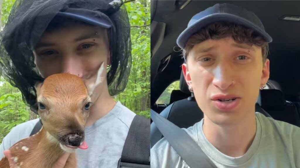 Internet Devastated After Michigan Man Rescues Baby Fawn Only To Euthanize It: ‘But She Came to You for Help…’ Internet Devastated After Michigan Man Rescues Baby Fawn Only To Euthanize It
