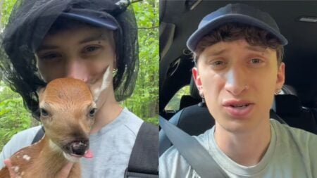 Internet Devastated After Michigan Man Rescues Baby Fawn Only To Euthanize It