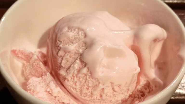 Nebraska DoorDasher Mocks Disabled Transgender Customer After Intentionally Leaving Ice Cream to Melt Outside: ‘This Isn’t Acceptable Behavior’ A bowl of melting ice cream